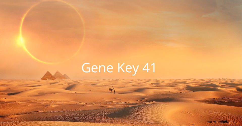 Gene Keys 41