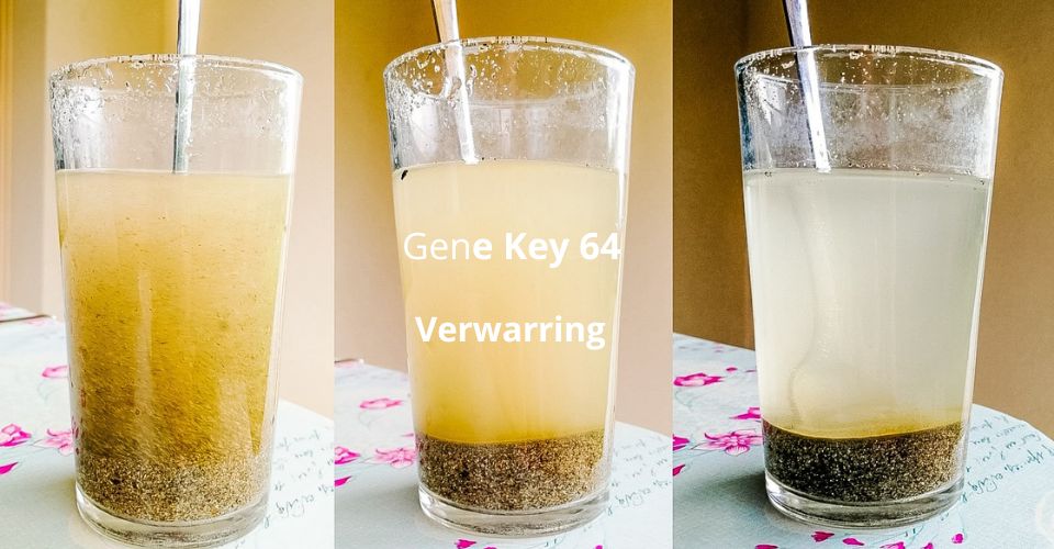Gene Key 64 – Verwarring